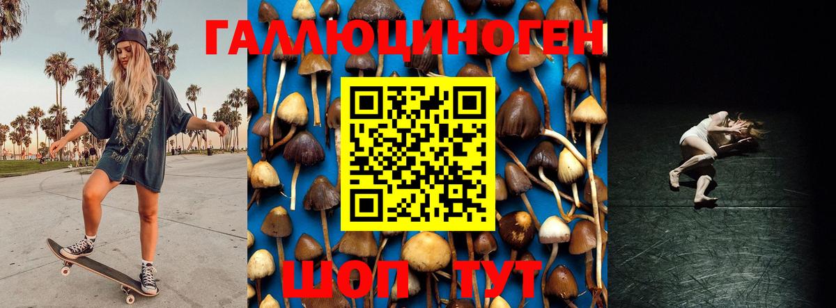 Псилоцибиновые грибы прущие грибы  Вход с VPN  Псилоцибиновые грибы Psilocybine cubensis  Чистополь 
